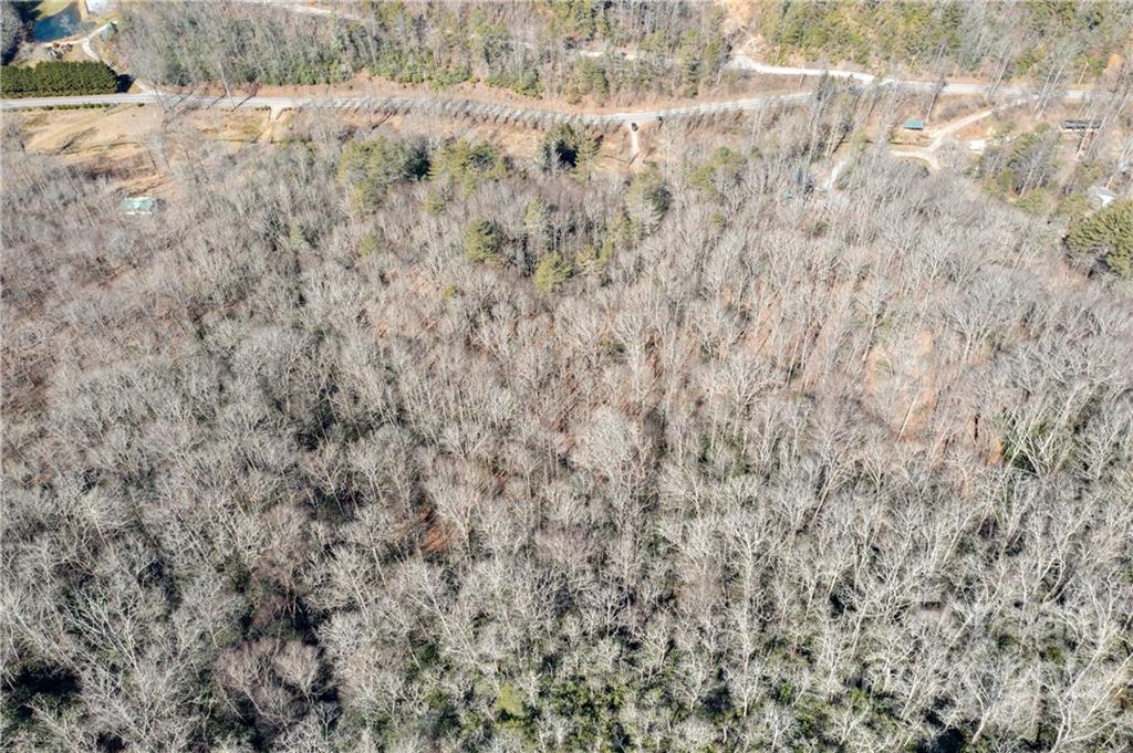 1132 Frozen Creek Road Brevard, NC 28712 - Photo 10 of 16 Gallery Image 10