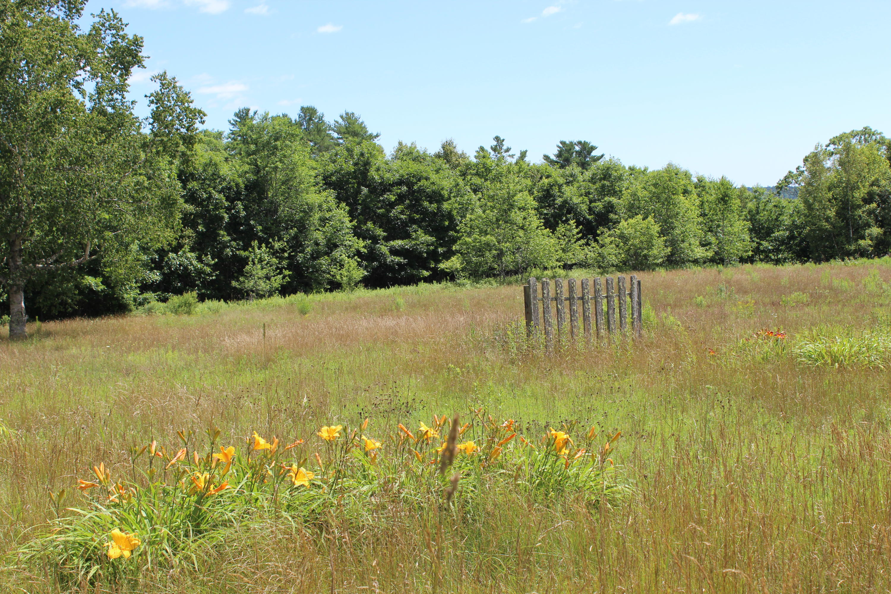 42 North Sedgwick Road Sedgwick, ME 04676 - Photo 42 of 43 IMG_3438