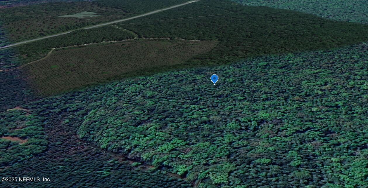 0 Goshawk Road Palatka, FL 32177 - Photo 2 of 7 image (15)