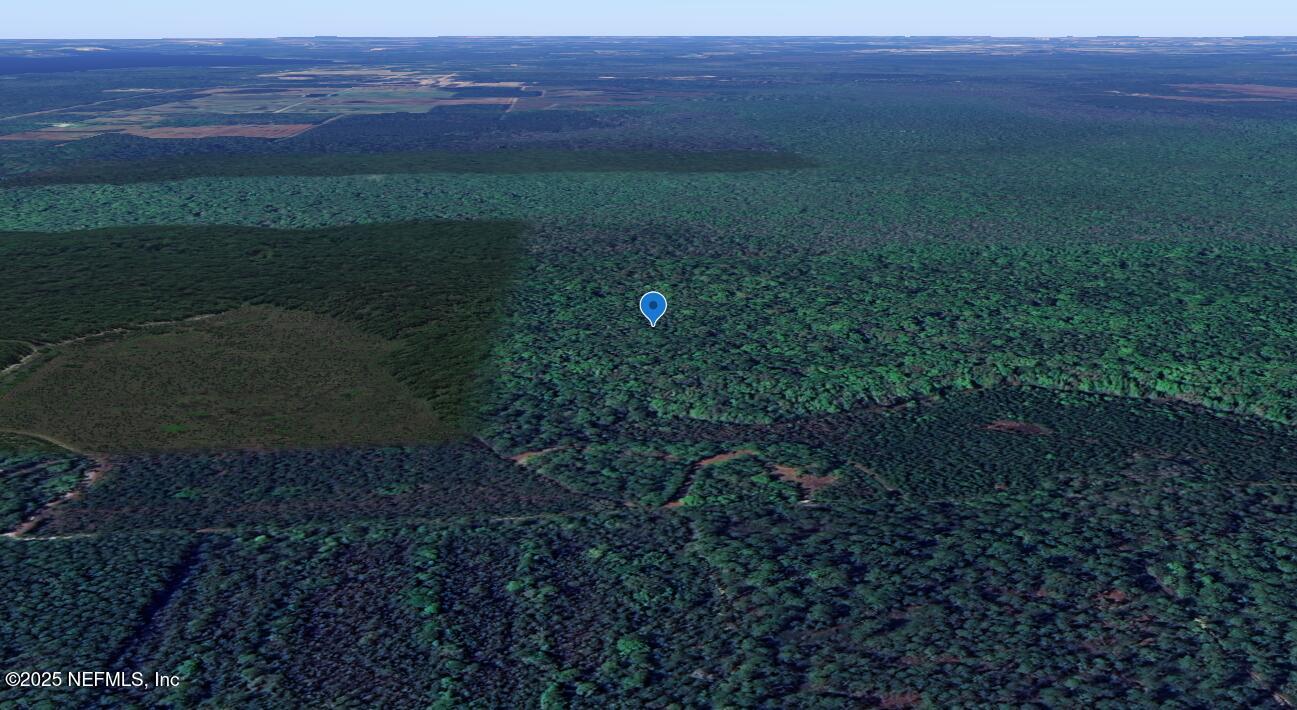 0 Goshawk Road Palatka, FL 32177 - Photo 3 of 7 image (14)