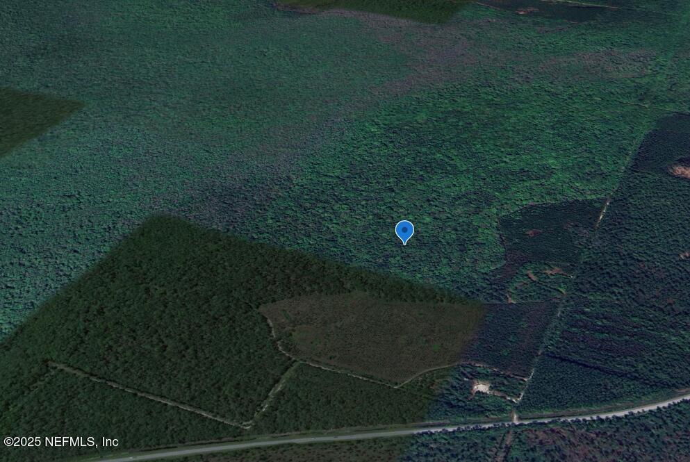 0 Goshawk Road Palatka, FL 32177 - Photo 6 of 7 image (11)