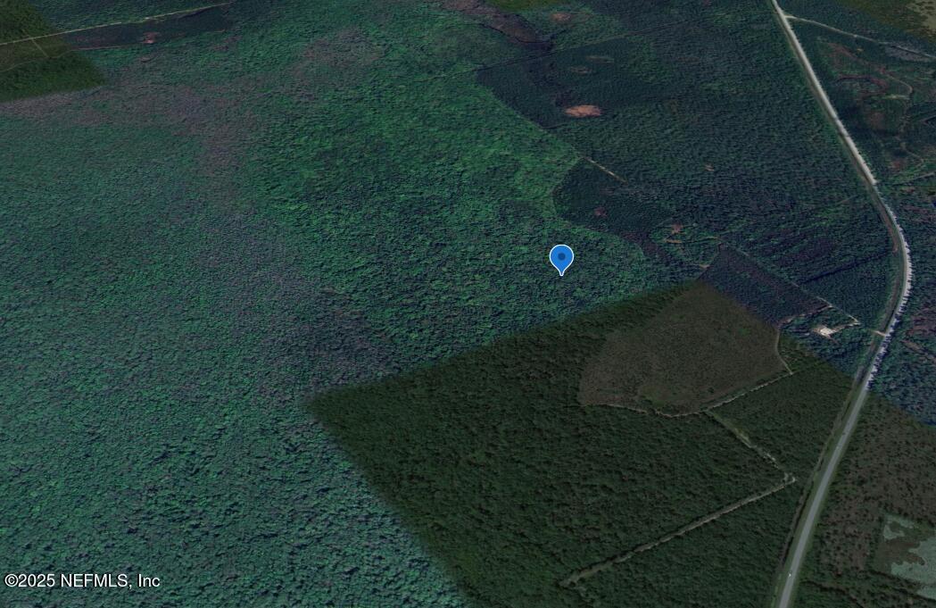 0 Goshawk Road Palatka, FL 32177 - Photo 7 of 7 image (10)