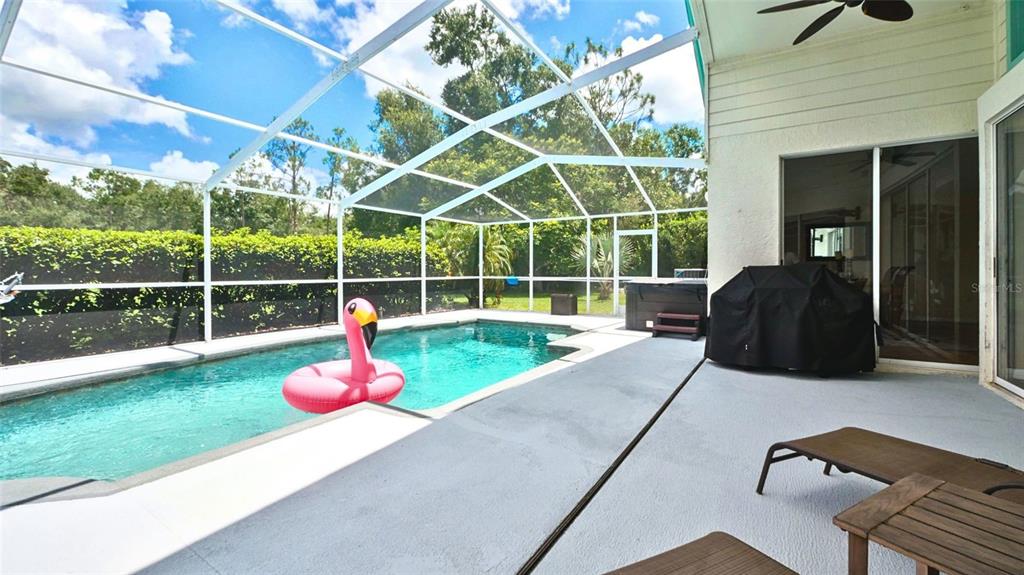 3202 Fox Squirrel Lane Valrico, FL 33596 - Photo 29 of 48 a view of backyard with trampoline