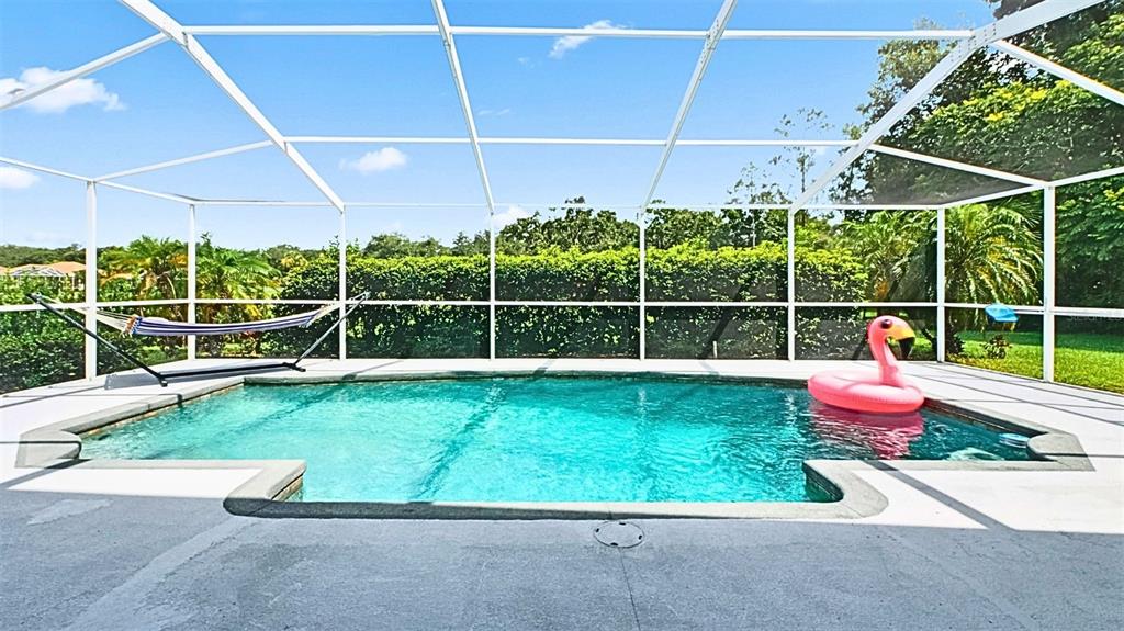 3202 Fox Squirrel Lane Valrico, FL 33596 - Photo 3 of 48 a view of a backyard with potted plants and empty room