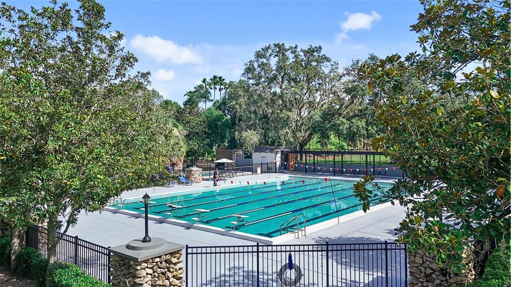 3202 Fox Squirrel Lane Valrico, FL 33596 - Photo 35 of 48 a view of a chairs and table on the deck