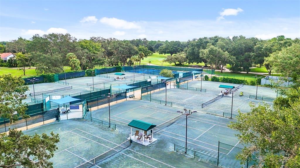 3202 Fox Squirrel Lane Valrico, FL 33596 - Photo 43 of 48 an outdoor space with patio