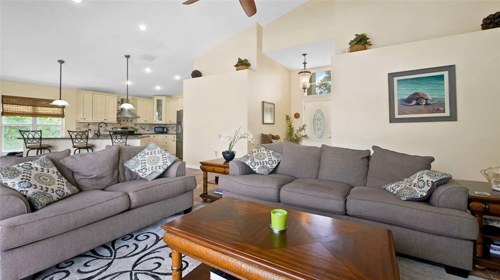 3202 Fox Squirrel Lane Valrico, FL 33596 - Photo 8 of 48 a living room with furniture kitchen view and a chandelier