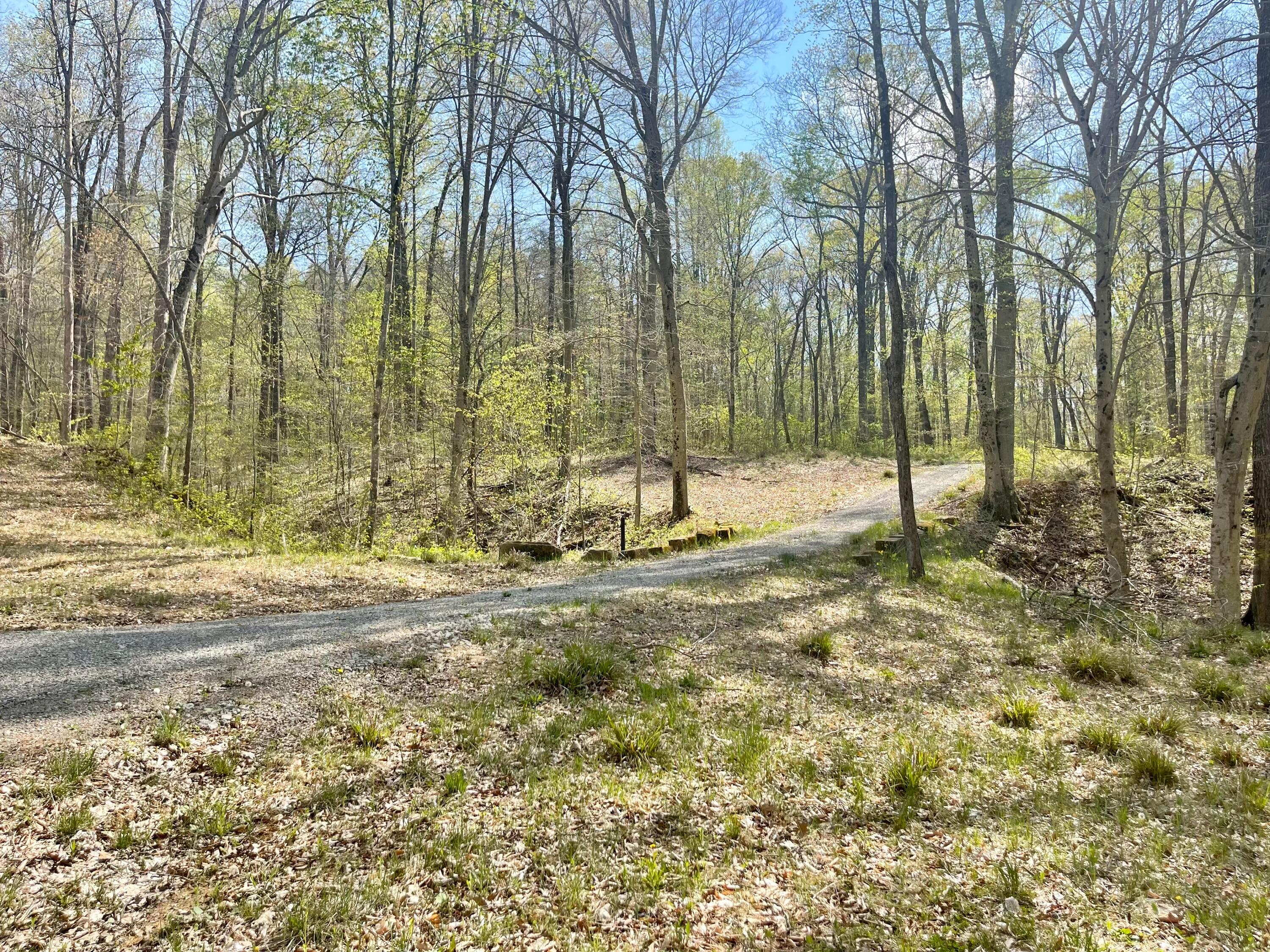 0 Dunlap Road Rockbridge, OH 43149 - Photo 2 of 18 0 Dunlap Road, Rockbridge, Ohio