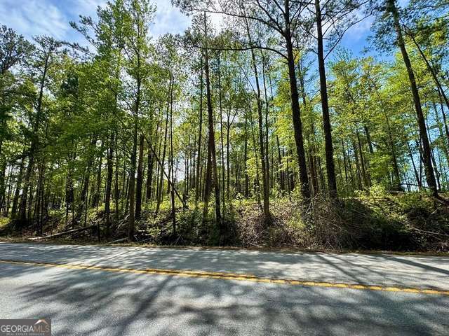 5682 Dames Ferry Road Juliette, GA 31046 - Photo 11 of 28