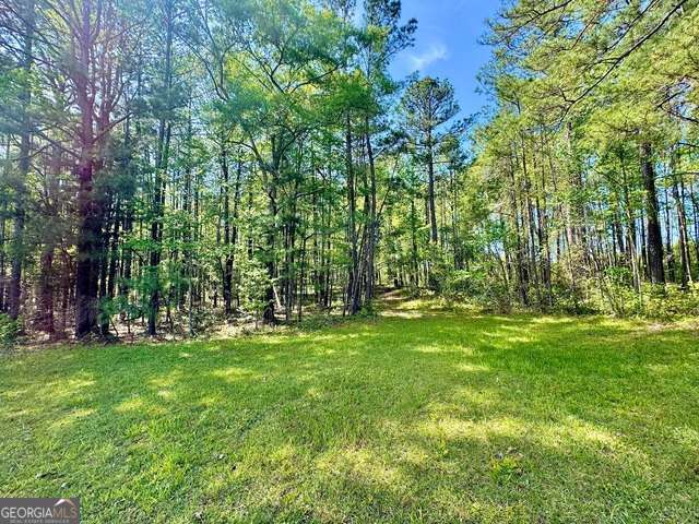 5682 Dames Ferry Road Juliette, GA 31046 - Photo 12 of 28