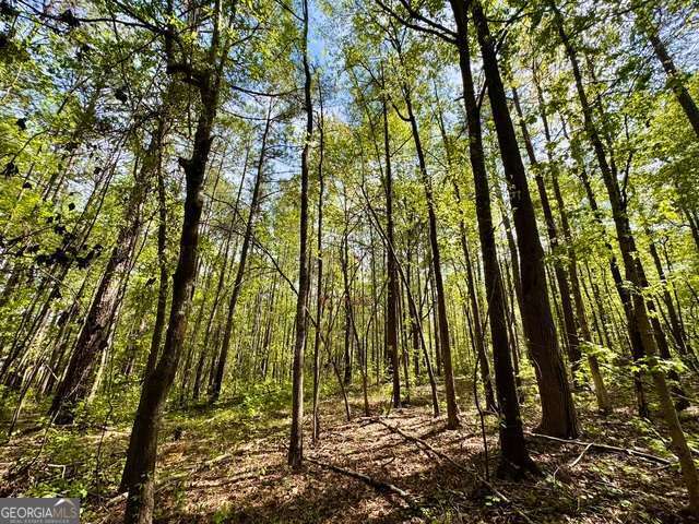 5682 Dames Ferry Road Juliette, GA 31046 - Photo 13 of 28