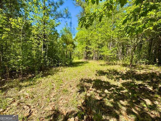 5682 Dames Ferry Road Juliette, GA 31046 - Photo 14 of 28