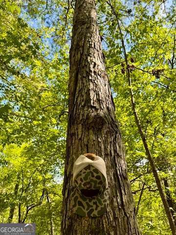 5682 Dames Ferry Road Juliette, GA 31046 - Photo 15 of 28