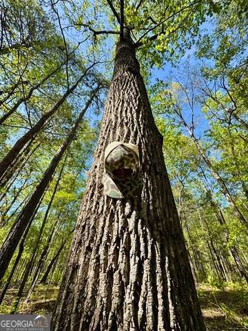 5682 Dames Ferry Road Juliette, GA 31046 - Photo 16 of 28