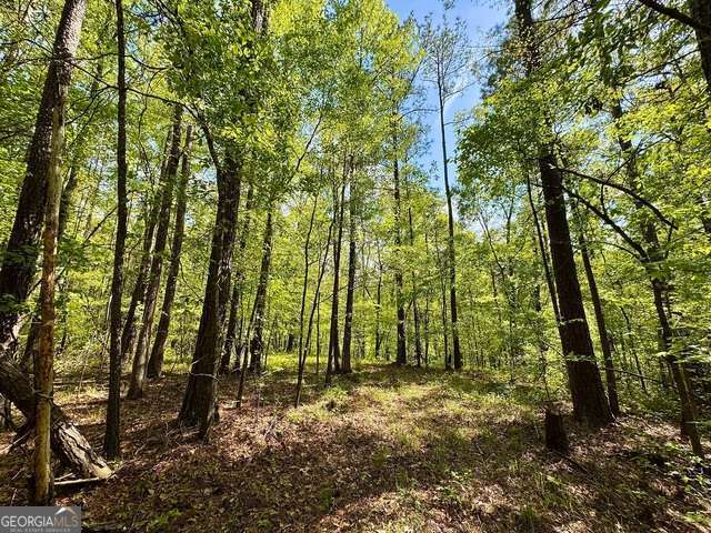 5682 Dames Ferry Road Juliette, GA 31046 - Photo 17 of 28