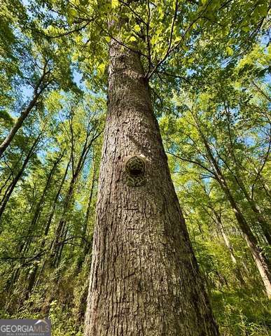 5682 Dames Ferry Road Juliette, GA 31046 - Photo 18 of 28