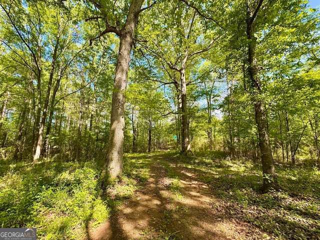 5682 Dames Ferry Road Juliette, GA 31046 - Photo 19 of 28