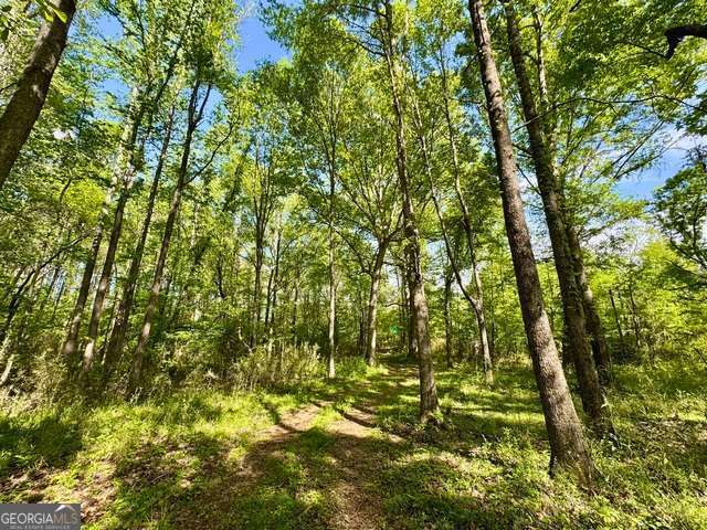 5682 Dames Ferry Road Juliette, GA 31046 - Photo 20 of 28