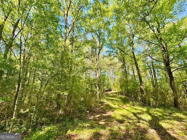 5682 Dames Ferry Road Juliette, GA 31046 - Photo 26 of 28