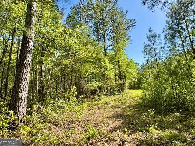 5682 Dames Ferry Road Juliette, GA 31046 - Photo 28 of 28