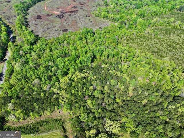 5682 Dames Ferry Road Juliette, GA 31046 - Photo 8 of 28