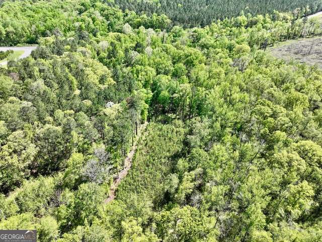 5682 Dames Ferry Road Juliette, GA 31046 - Photo 9 of 28