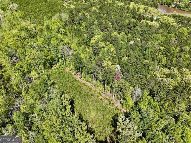 5682 Dames Ferry Road Juliette, GA 31046 - Photo 10 of 28