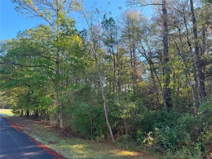 a view of a forest with trees