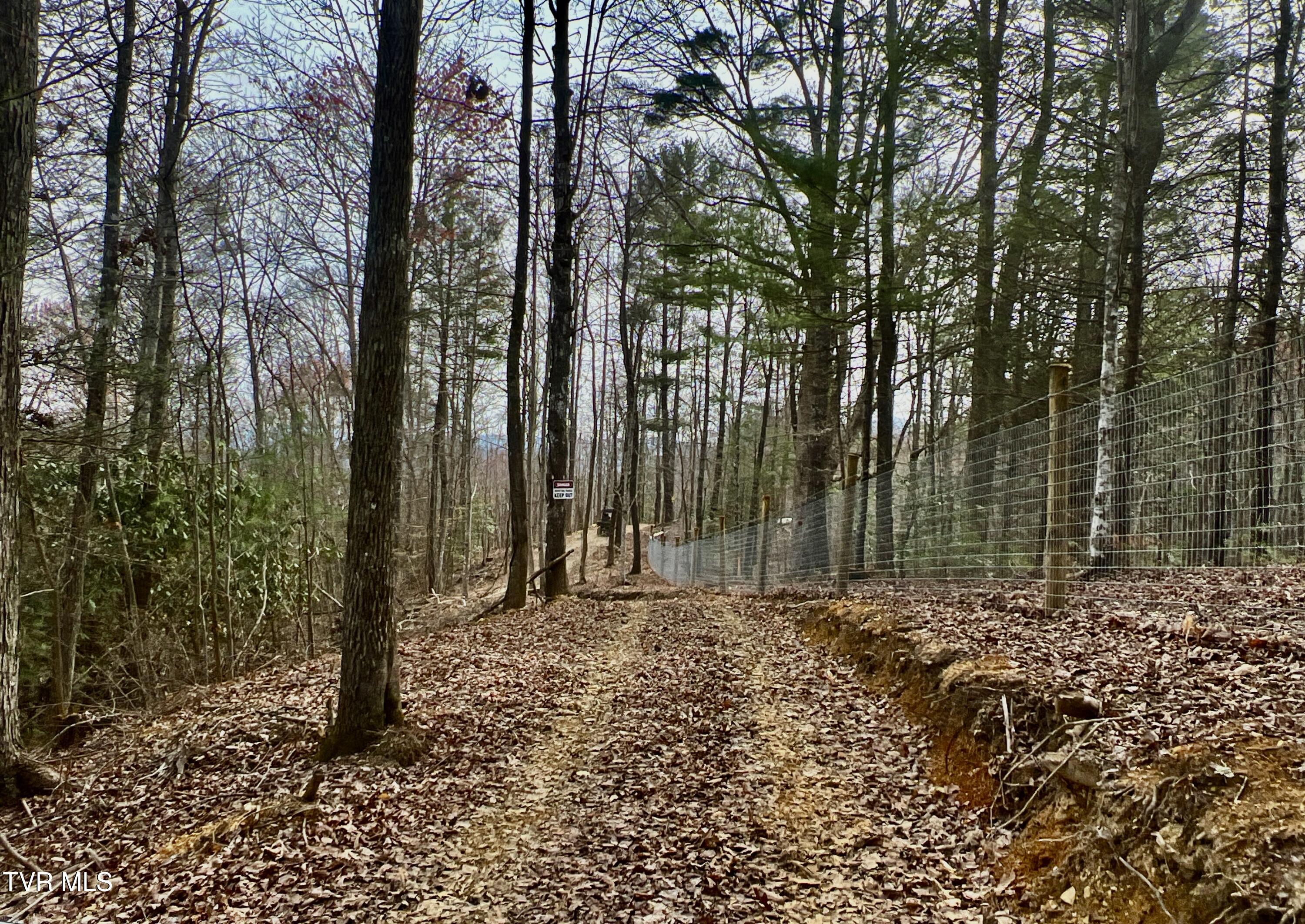 538 Punkton Road Del Rio, TN 37727 - Photo 48 of 92 _Pic61 (19)