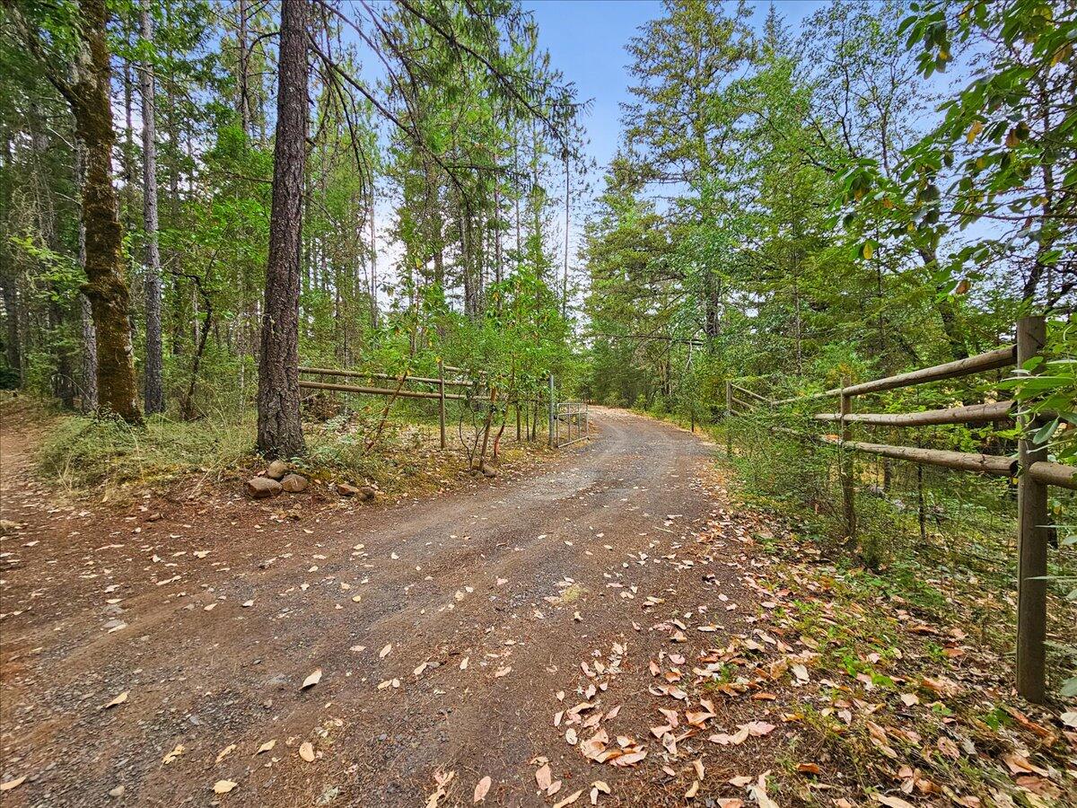 422 Onion Mountain Road Wilderville, OR 97543 - Photo 51 of 52