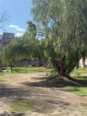 a view of a yard with plants