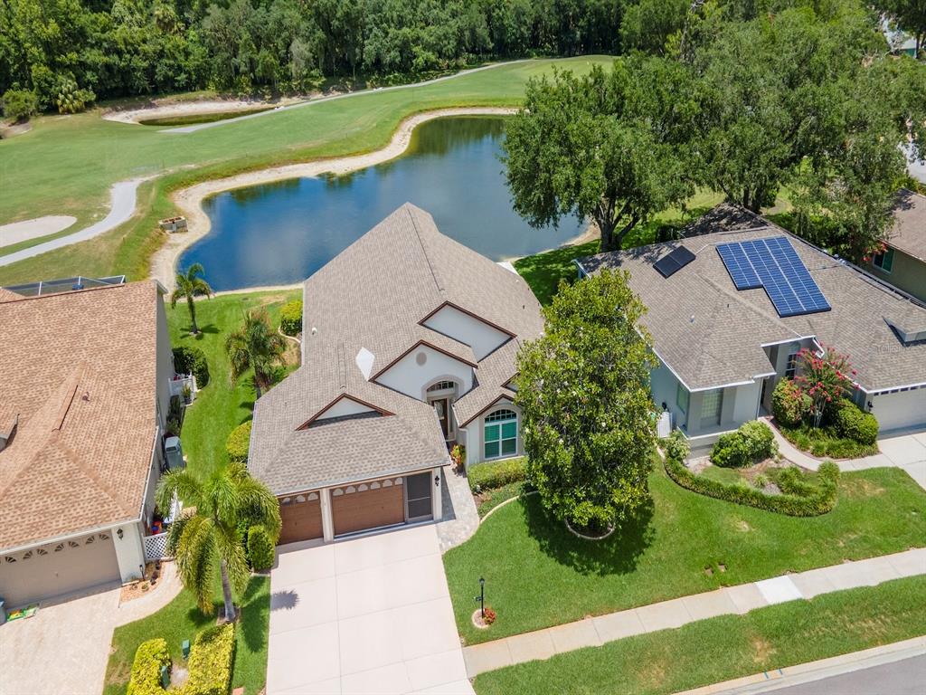 9703 Springmeadow Drive New Port Richey, FL 34655 - Photo 50 of 78 Gallery Image 50