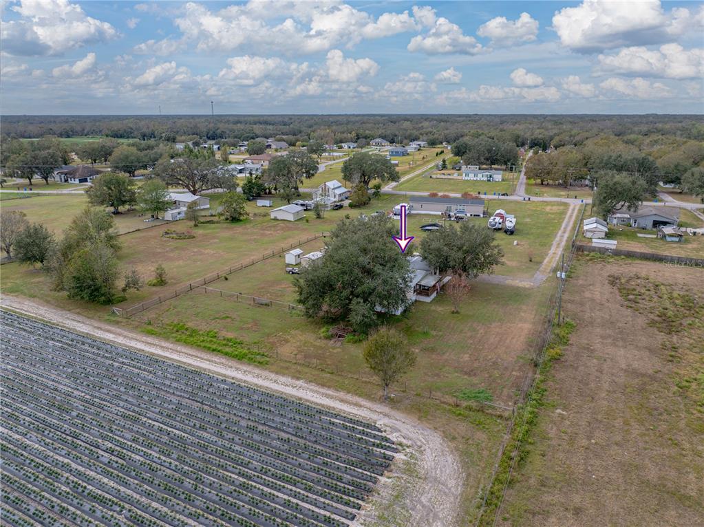 3006 Clemons Road Plant City, FL 33566 - Photo 76 of 87 Gallery Image 76