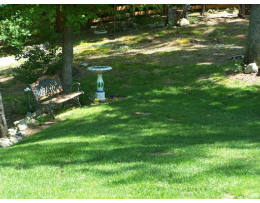 2001 Greenwich Road Hardwick, MA 01082 - Photo 3 of 27 a backyard of a house with lots of green space