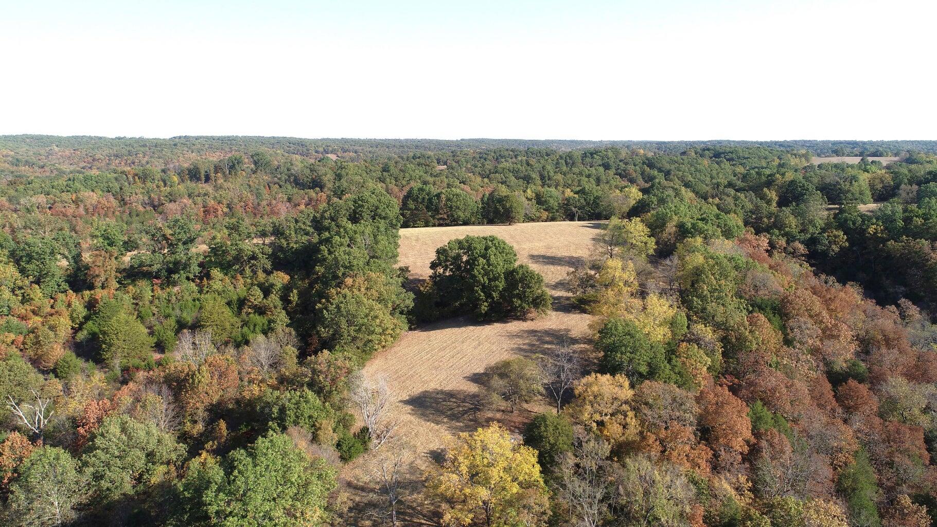 615 Thomas Hollow Road Exeter, MO 65647 - Photo 1 of 82 Overview Topography