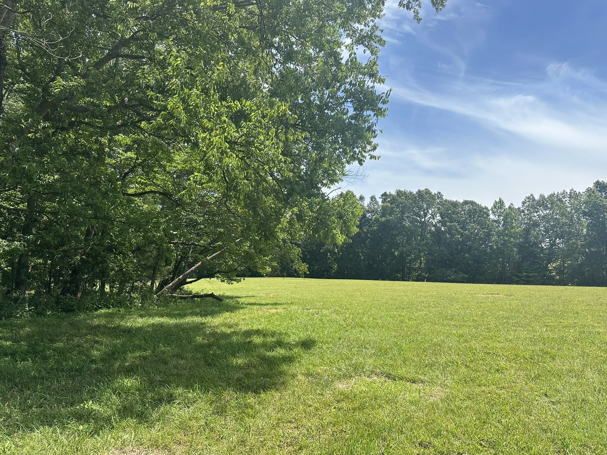 2 Somerville Road Cross Plains, TN 37049 - Photo 5 of 6