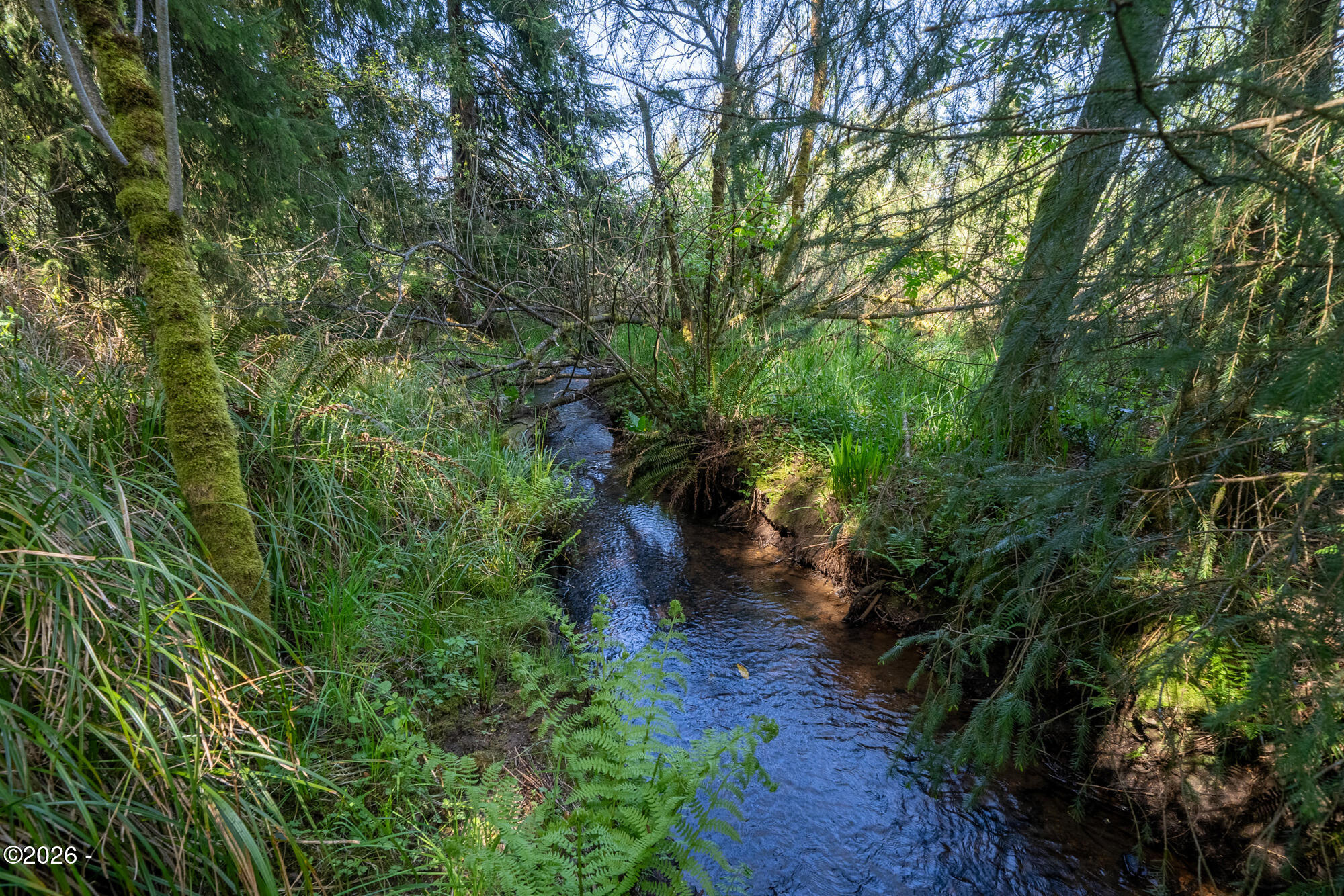 6040 Brickyard Road Tillamook, OR 97141 - Photo 33 of 41 Creek