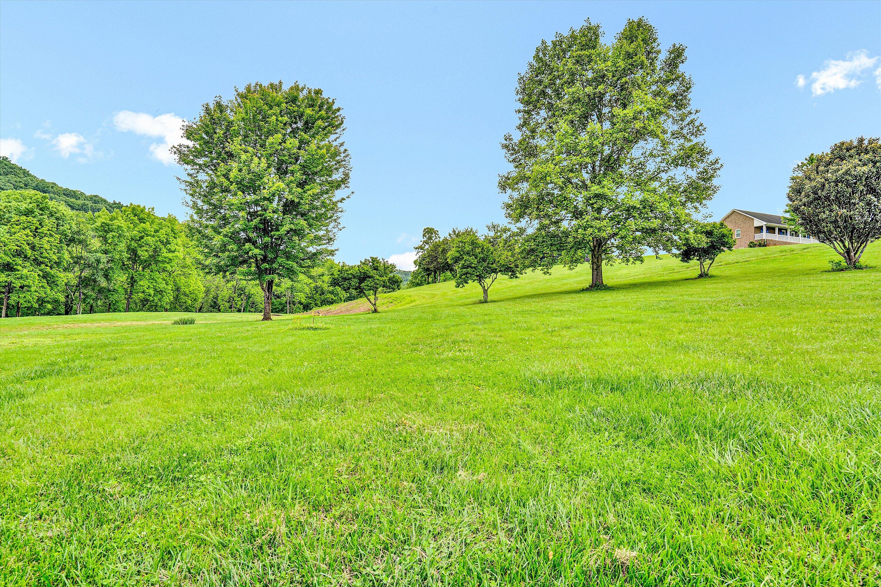 4 Arch Mill Road Fincastle, VA 24090 - Photo 49 of 49 49-DSC00216