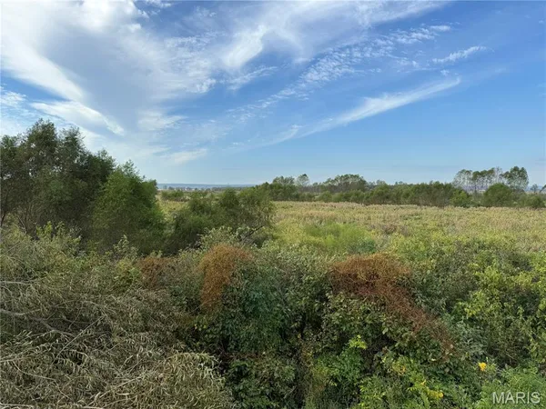 $330,000 | 2-00 Bluff Road, Prairie du Rocher, IL 62277