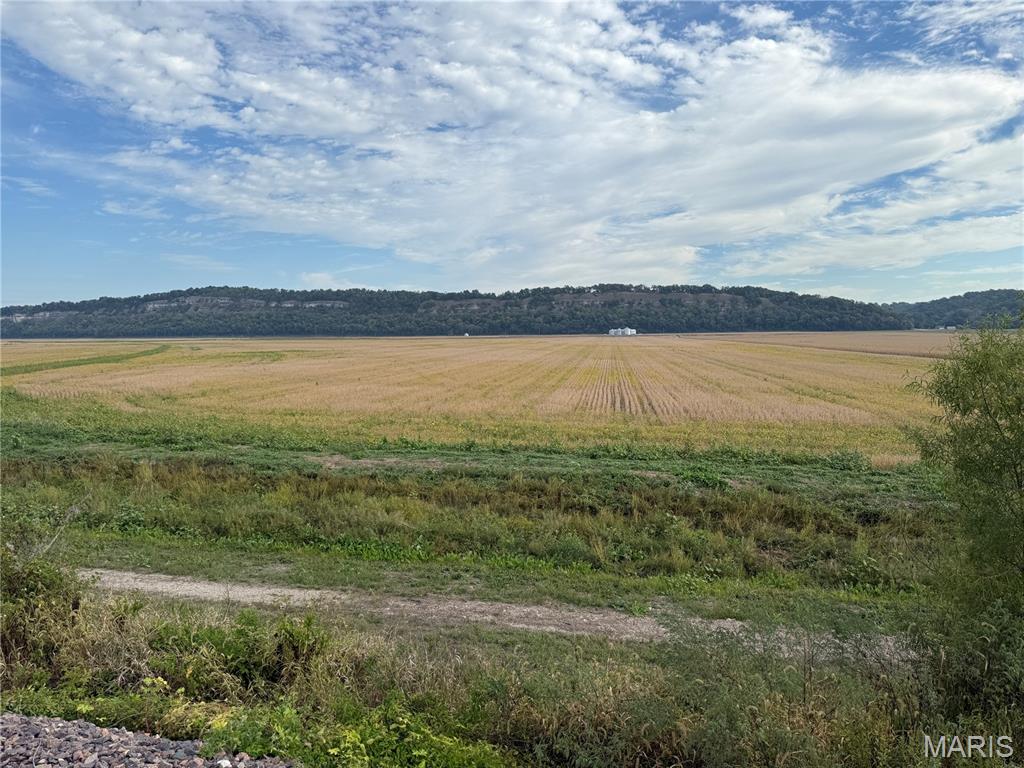 2-00 Bluff Road Prairie du Rocher, IL 62277 - Photo 12 of 14