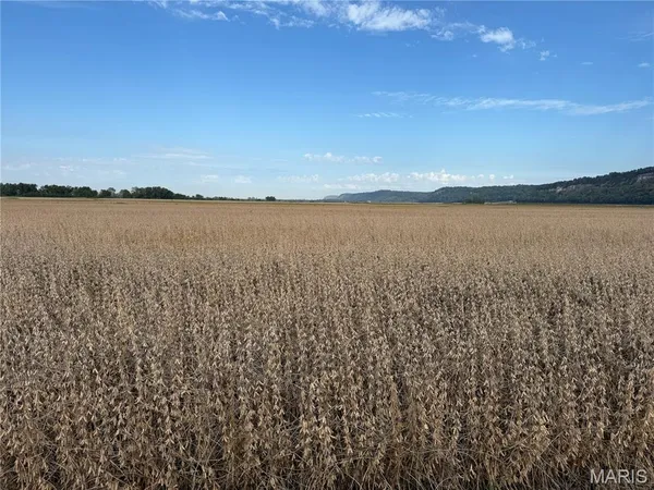 $330,000 | 2-00 Bluff Road, Prairie du Rocher, IL 62277