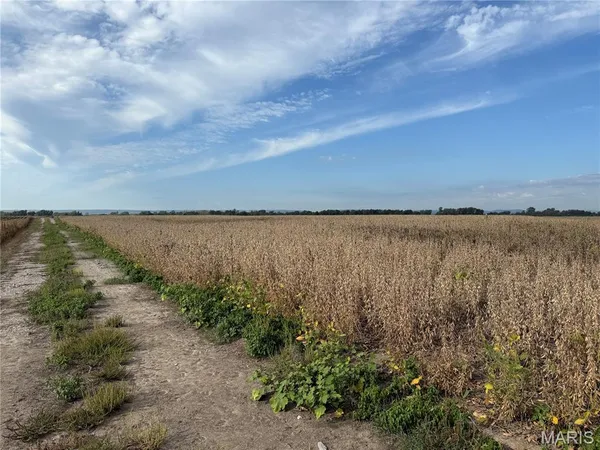 $330,000 | 2-00 Bluff Road, Prairie du Rocher, IL 62277