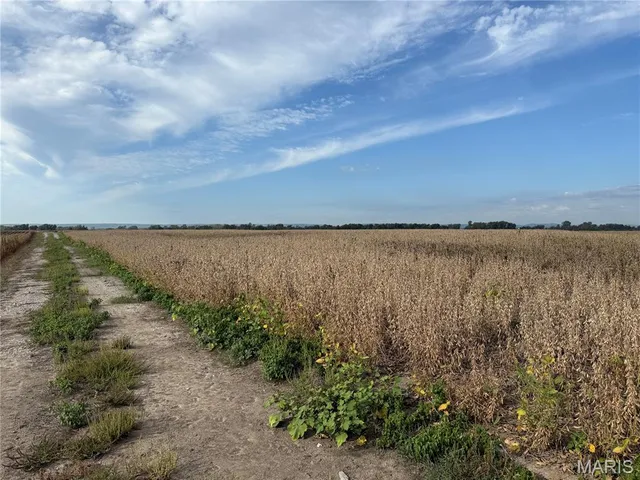 $180,000 | 2-00 Bluff Road, Prairie du Rocher, IL 62277