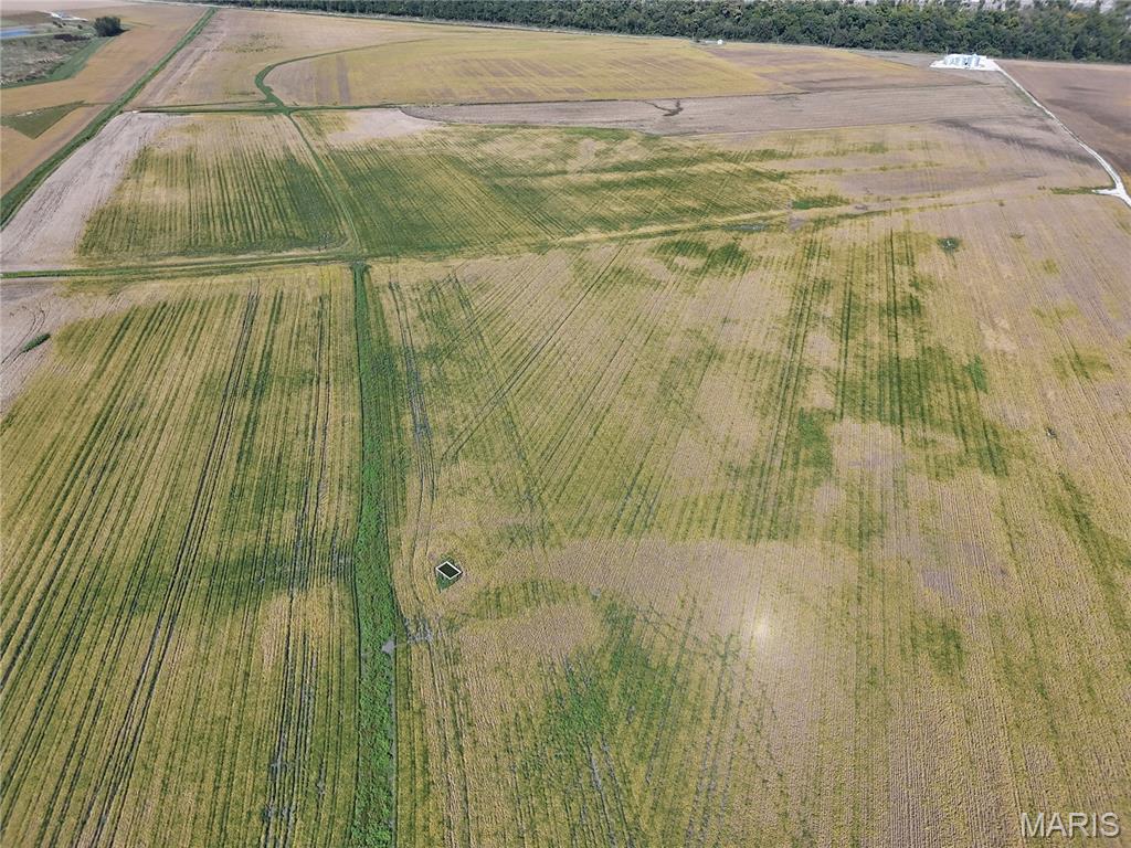 2-00 Bluff Road Prairie du Rocher, IL 62277 - Photo 3 of 14