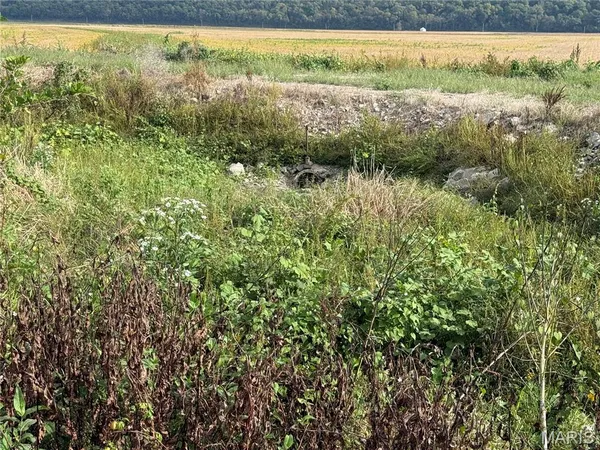 $330,000 | 2-00 Bluff Road, Prairie du Rocher, IL 62277