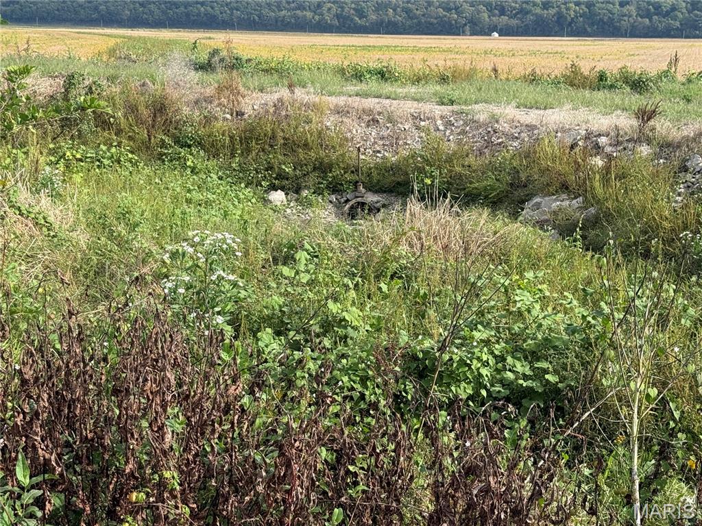 2-00 Bluff Road Prairie du Rocher, IL 62277 - Photo 7 of 14