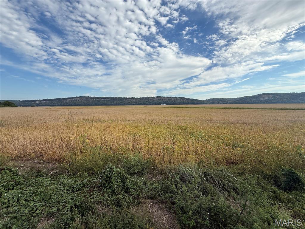 2-00 Bluff Road Prairie du Rocher, IL 62277 - Photo 9 of 14