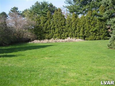 1129 Butztown Road Bethlehem, PA 18017 - Photo 24 of 32 Rear yard view