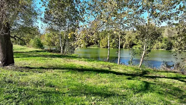 a view of a garden with a lake