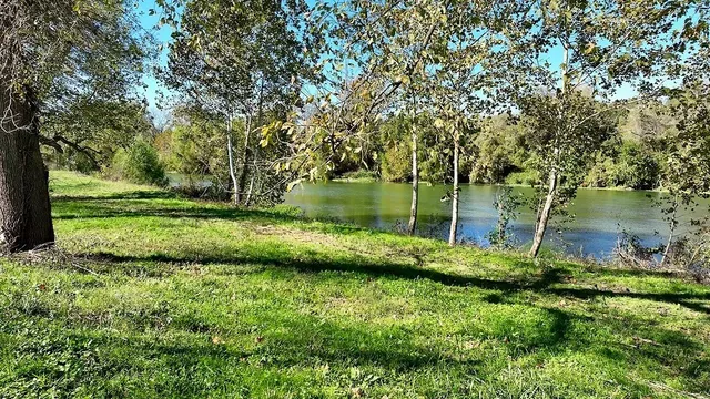 a view of a garden with a lake